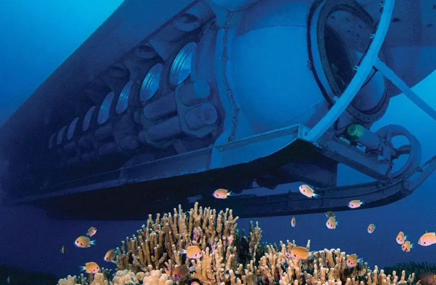 5 Brilliant Reasons Why Atlantis Submarine Kona is the Best Underwater Adventure